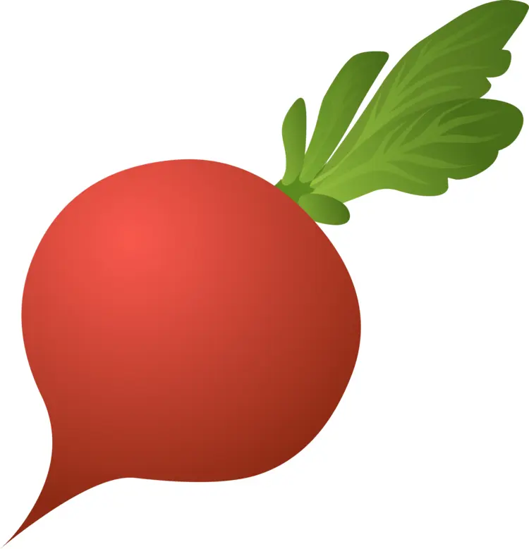 Red Radish with Green Leaves