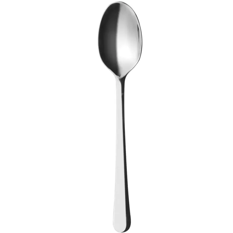 Single Stainless Steel Spoon