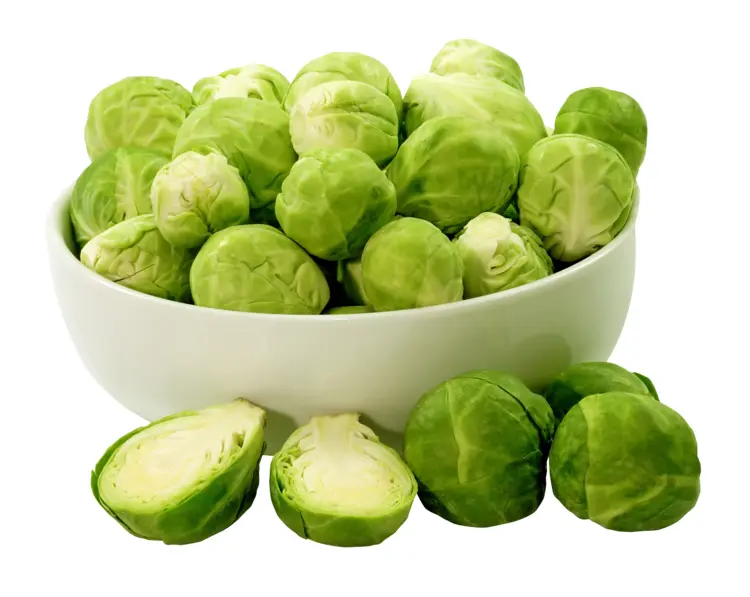Bowl of Fresh Brussels Sprouts