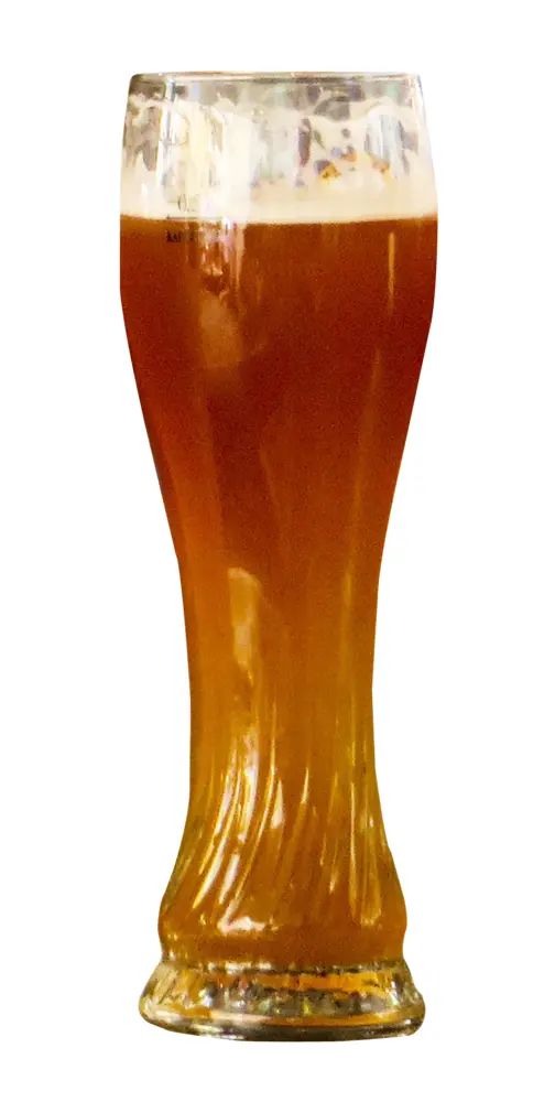 Glass of Beer