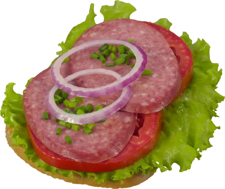 Open Sandwich with Salami and Vegetables