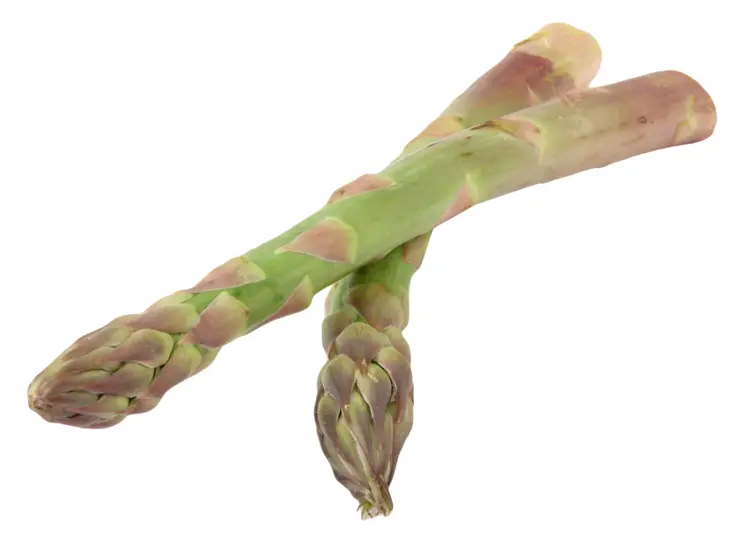 Fresh Green Asparagus