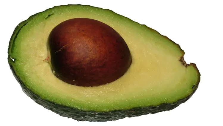 Half Avocado with Seed