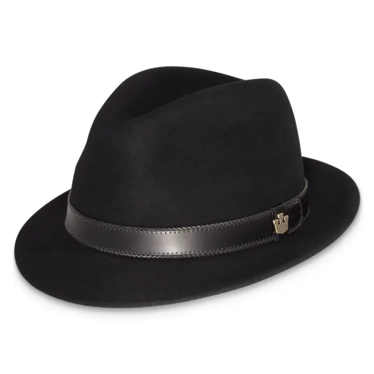 Stylish Black Fedora Hat