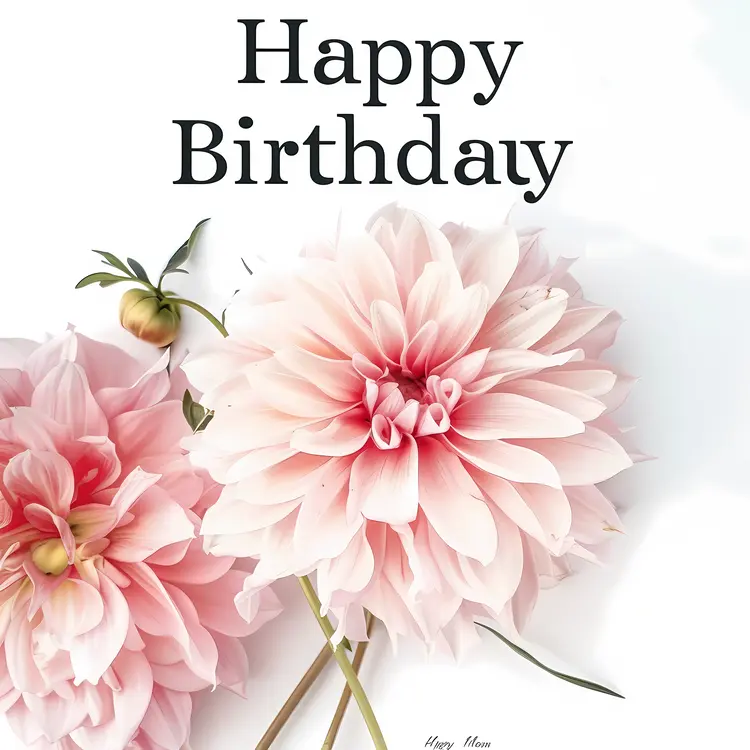 Happy Birthday Text with Pink Flowers