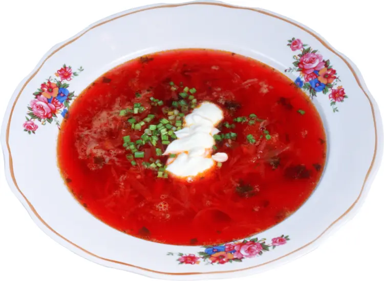 Borscht in a Floral Plate