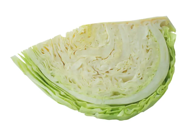 Fresh Cabbage Slice