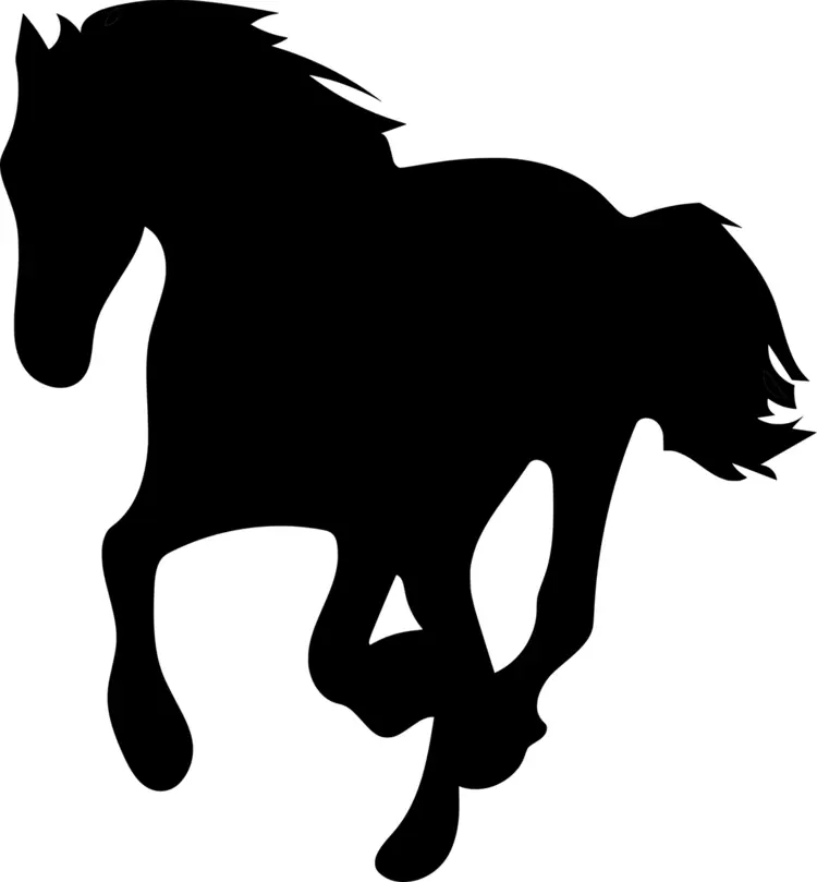 Black Horse Silhouette