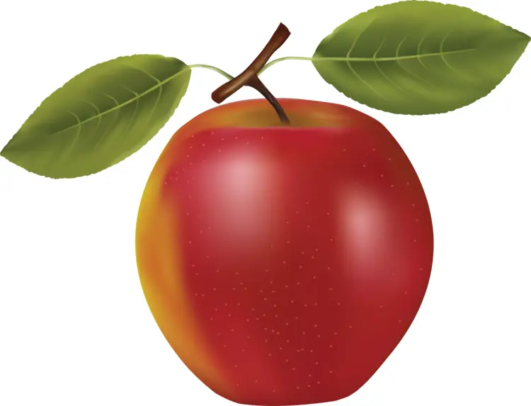 Fresh Red Apple with Leaves