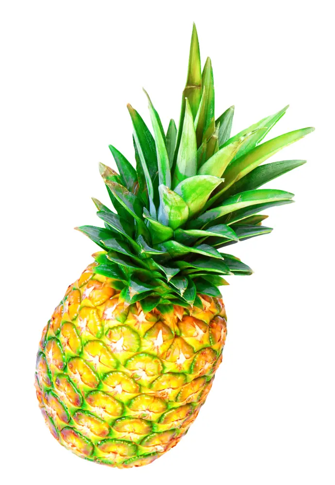 Single Fresh Pineapple