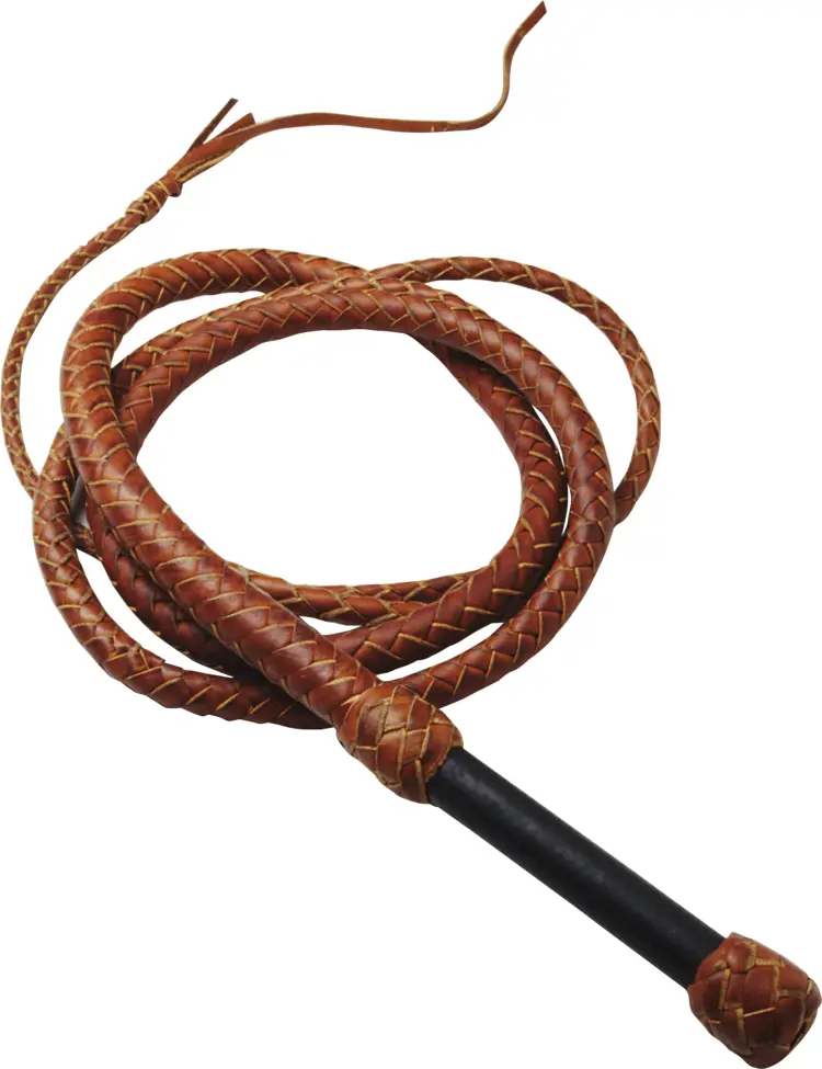 Brown Leather Whip for Riding