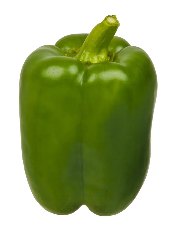 Fresh Green Bell Pepper