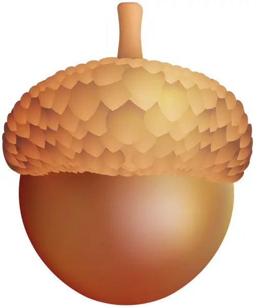 Golden Acorn with Detailed Cap