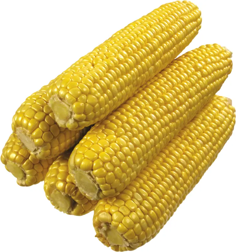 Stacked Yellow Corn on the Cob