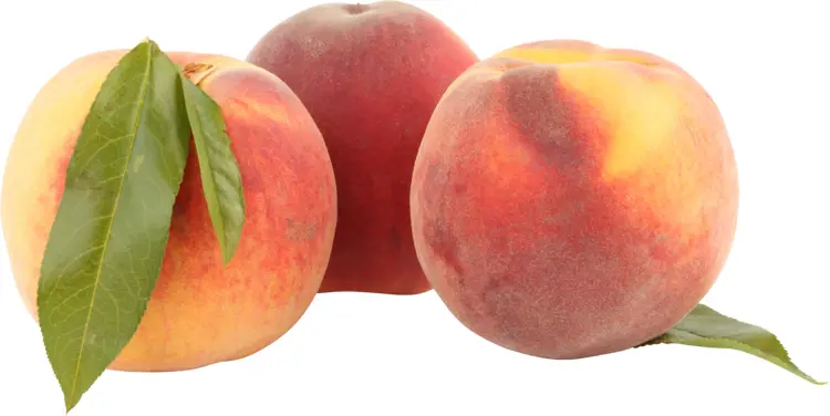 Fresh Juicy Peach