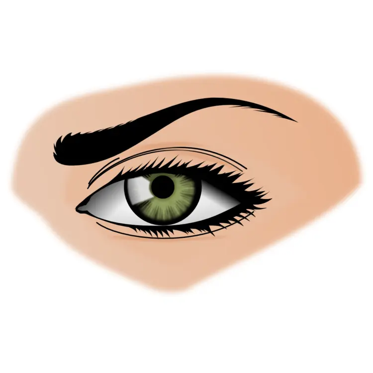 Green Eye Illustration