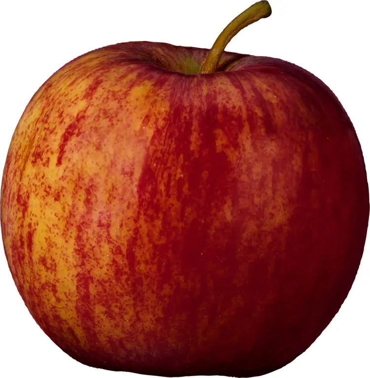Striped Red and Yellow Apple