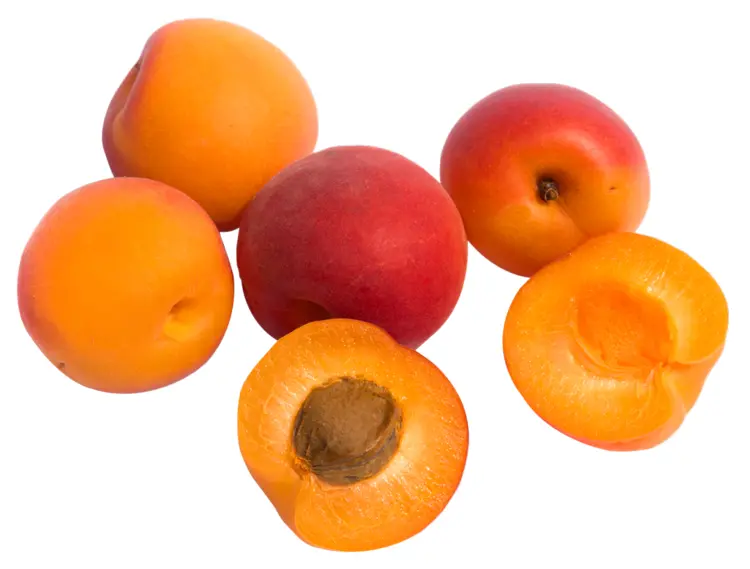 Fresh Apricots and Halves