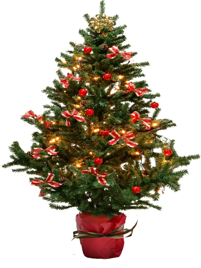 Decorated Christmas Tree