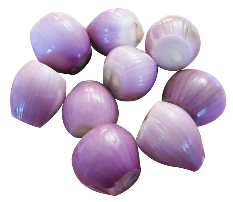 Purple Onions for Cooking