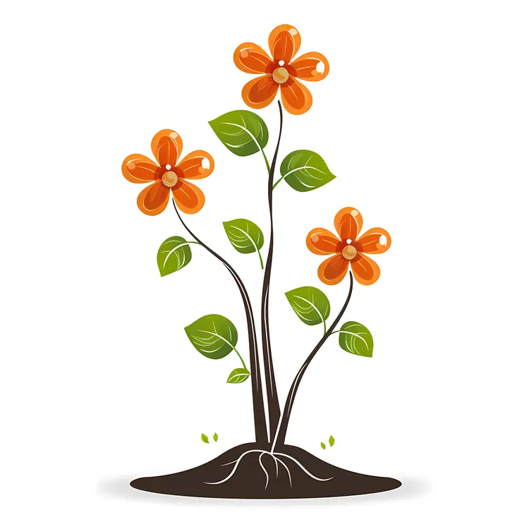 Orange Flowers in Bloom