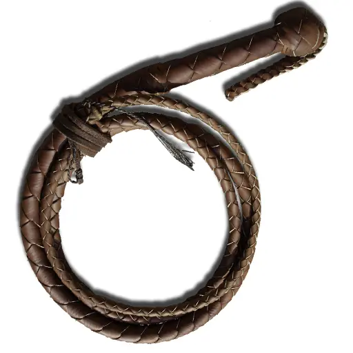 Brown Leather Whip for Riding