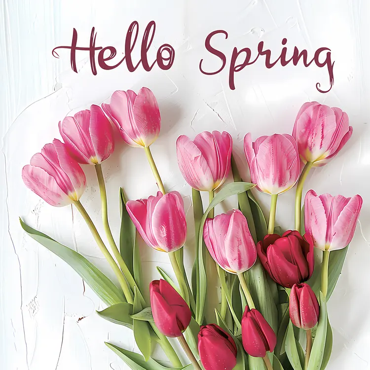 Hello Spring with Pink and Red Tulips