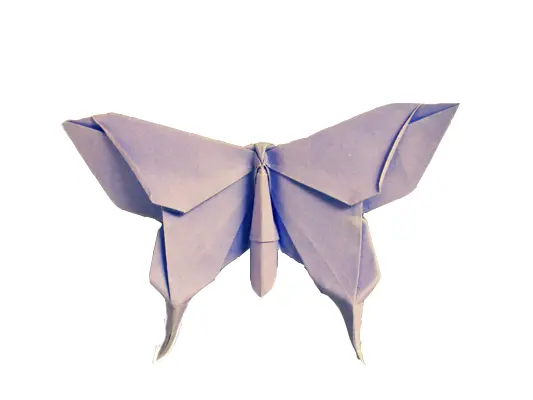 Beautiful Origami Butterfly
