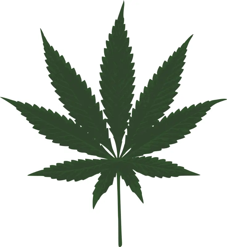 Silhouette of Cannabis Leaf