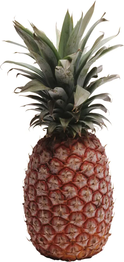 Whole Pineapple