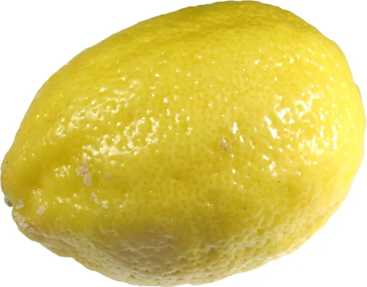 Fresh Yellow Lemon