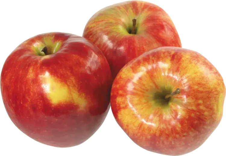 Three Red and Yellow Apples