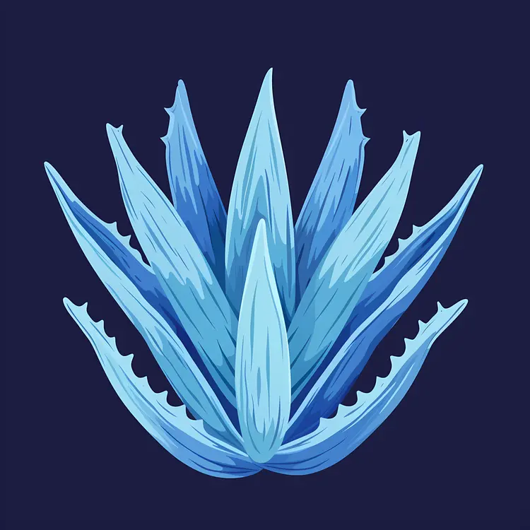 Blue Aloe Vera Plant Illustration