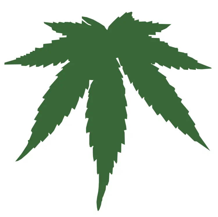 Cannabis Leaf Illustration