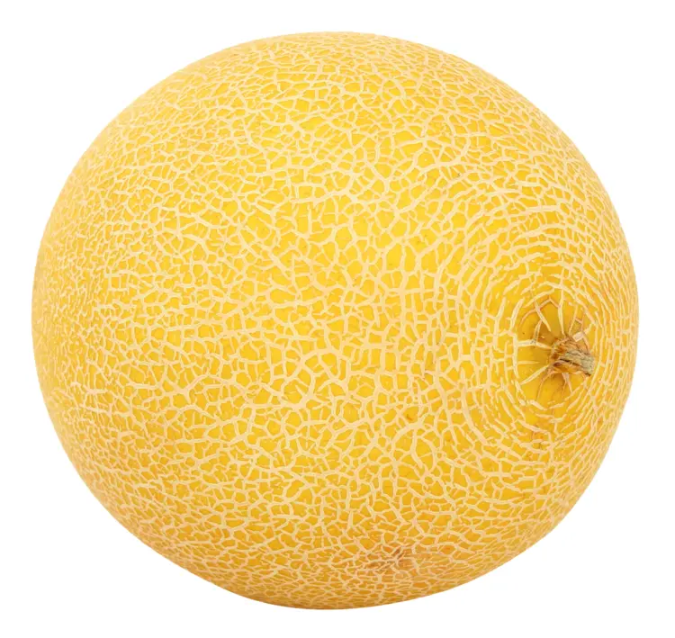 Yellow Melon Fruit