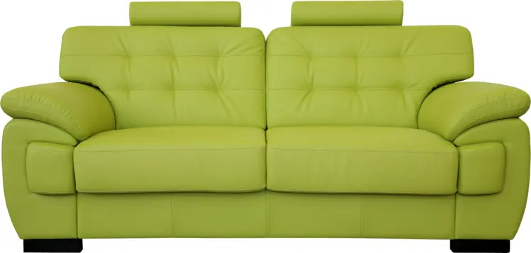 Comfortable Green Sofa for Modern Living Rooms