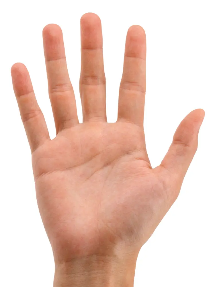 Open Palm Gesture