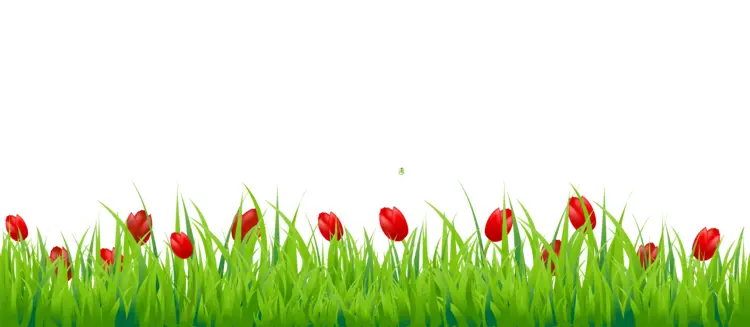 Green Grass with Red Flowers