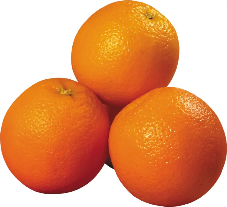 Fresh Oranges