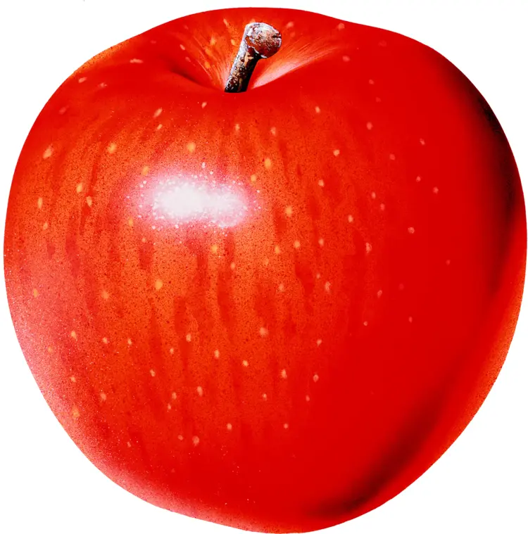 Shiny Red Apple