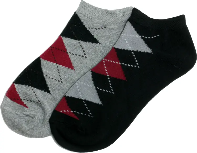 Pair of Argyle Socks