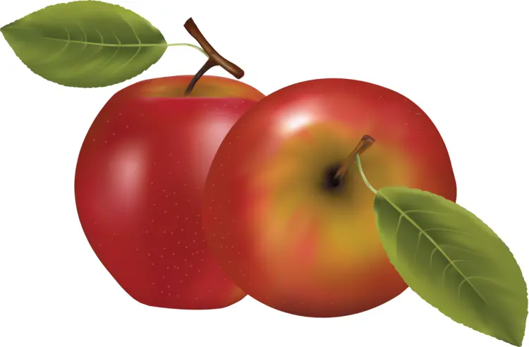 Pair of Red Apples with Leaves