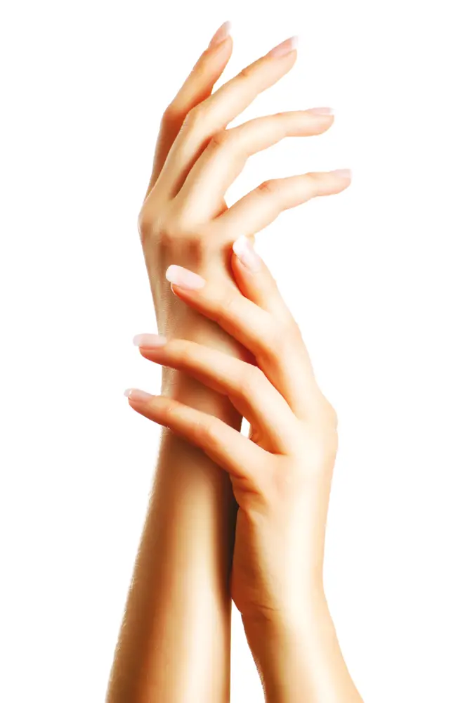 Elegant Hands