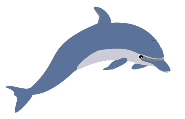 Blue Dolphin Illustration