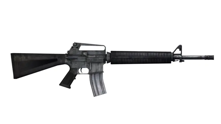 Black Rifle with Tactical Design