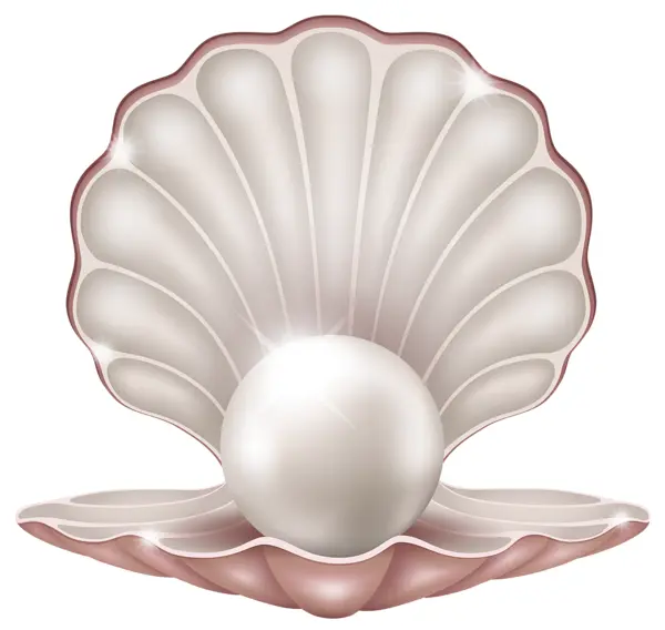 Natural Pearl in Shell