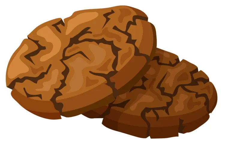 Brown Baked Cookies Illustration