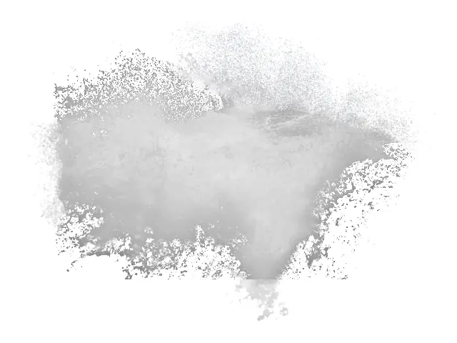 Gray Brush Stroke on Transparent Background