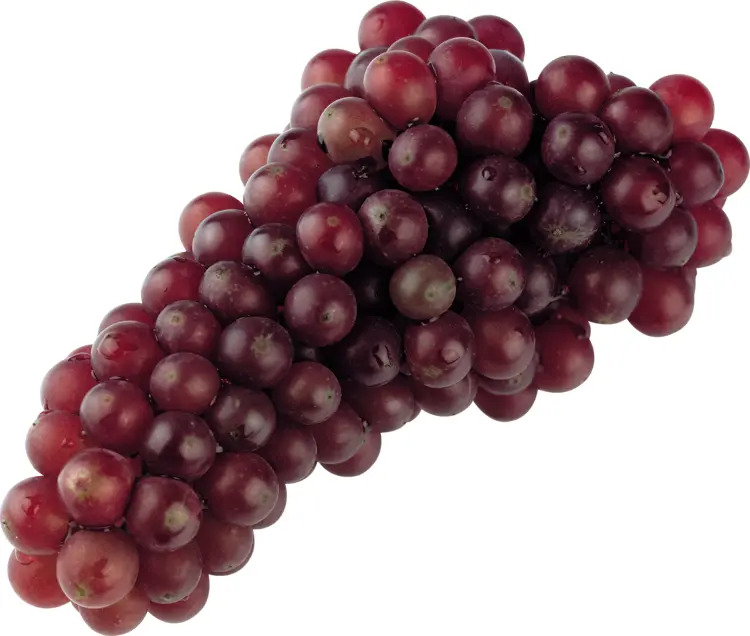 Juicy Red Grapes Bunch