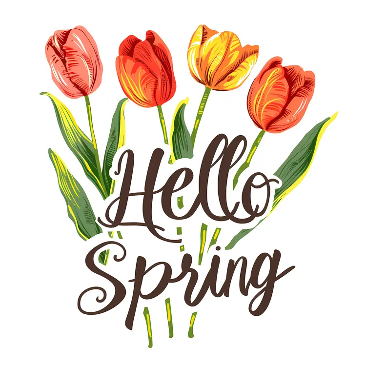 Beautiful tulips in spring
